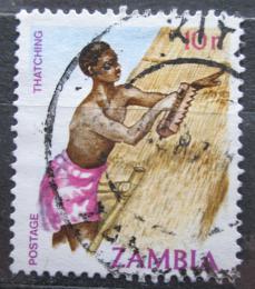 Poštová známka Zambia 1981 Pokrývaè Mi# 253