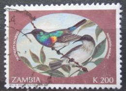 Poštová známka Zambia 1994 Vtáci Mi# 631