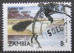 Poštová známka Zambia 2001 Ibis posvátný Mi# 1258