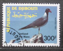 Poštová známka Džibutsko 1993 Racek bìlooký Mi# 579