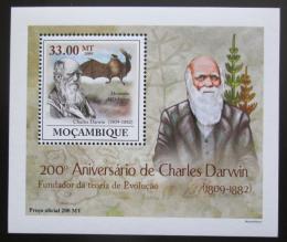 Poštová známka Mozambik 2009 Dinosaury DELUXE Mi# 3437 Block