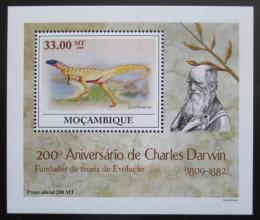 Poštová známka Mozambik 2009 Dinosaury DELUXE Mi# 3438 Block 