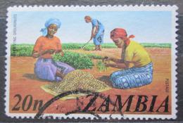 Poštová známka Zambia 1975 Sklizeò arašídù Mi# 150