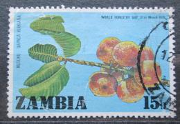 Poštová známka Zambia 1976 Uapaca kirkiana Mi# 166
