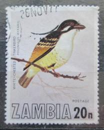 Poštová známka Zambia 1977 Vousák bìlouzdièkový Mi# 184