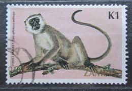 Poštová známka Zambia 1985 Koèkodan obecný Mi# 333