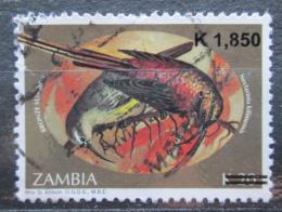 Poštová známka Zambia 2007 Vtáci pretlaè Mi# 1596 Kat 4€ 