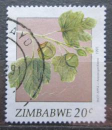 Poštová známka Zimbabwe 1991 Flóra Mi# 460