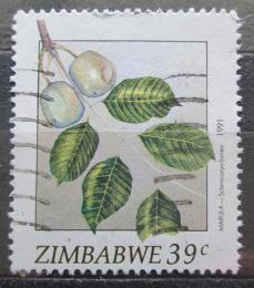 Poštová známka Zimbabwe 1991 Marula Mi# 461