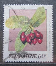 Poštová známka Zimbabwe 1991 Ovocie Mi# 463