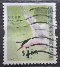 Poštová známka Hongkong 2006 Rybák rajský Mi# 1392 D