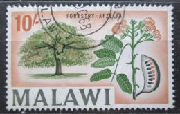 Potov znmka Malawi 1964 Afzelia quanzensis Mi# 13