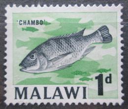 Poštová známka Malawi 1964 Lamprologus elongatus Mi# 2