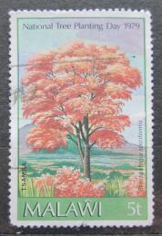 Poštová známka Malawi 1979 Brachystegia spiciformis Mi# 320