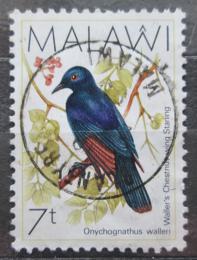 Poštová známka Malawi 1988 Špaèek Wallerùv Mi# 504