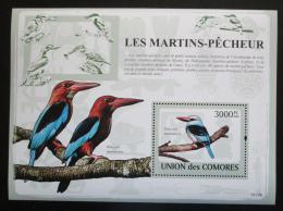 Poštová známka Komory 2009 Ledòáèci Mi# Block 484 Kat 15€