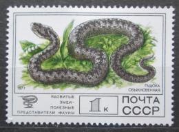 Poštová známka SSSR 1977 Zmije obecná Mi# 4678
