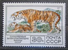 Poštová známka SSSR 1977 Tiger ussurijský Mi# 4685