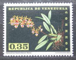 Poštová známka Venezuela 1962 Epidendrum stamfordianum, orchidej Mi# 1438