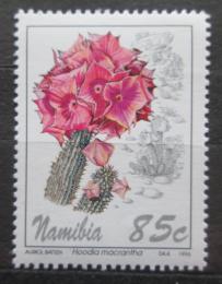 Poštová známka Namíbia 1994 Hoodia macrantha Mi# 775