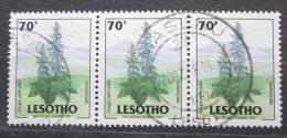 Poštové známky Lesotho 1998 Ajuga ophrydis Mi# 1431
