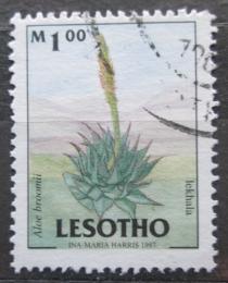 Poštová známka Lesotho 1998 Aloe broomii Mi# 1433