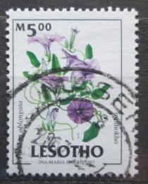 Poštová známka Lesotho 1998 Turbina oblongata Mi# 1438