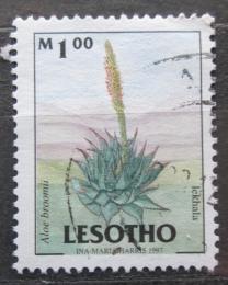 Poštová známka Lesotho 1998 Aloe broomii Mi# 1433