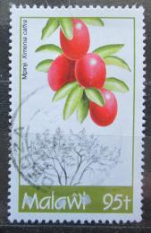 Poštová známka Malawi 1993 Ximenia caffra Mi# 615