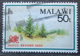 Poštová známka Malawi 1990 Cedry Mi# 555 Kat 2.80€