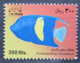 Poštová známka Irán 2010 Pomacanthus maculosus Mi# 3131