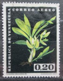 Poštová známka Venezuela 1962 Cycnoches chlorochilum, orchidej Mi# 1442 