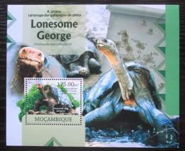 Poštová známka Mozambik 2012 Nejstarší korytnaèka sloní pintská Mi# Block 675 Kat 10€