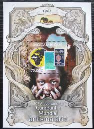 Poštová známka Mozambik 2013 Boj proti malárii Mi# Block 734 Kat 10€ 