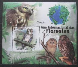 Poštová známka Mozambik 2011 Sovy Mi# Block 419 Kat 10€