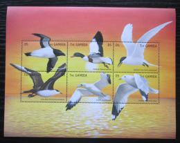 Poštové známky Gambia 1999 Moøští ptáci Mi# 3358-63 Kat 12€