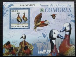 Poštová známka Komory 2009 Husièka vdovka Mi# 2418 Kat 15€