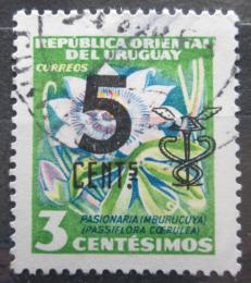 Poštová známka Uruguaj 1959 Muèenka modrá pretlaè Mi# 825