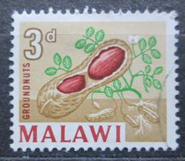 Poštová známka Malawi 1964 Podzemnice olejná Mi# 4