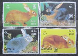 Poštové známky Somálsko 2011 Zajíci Mi# N/N