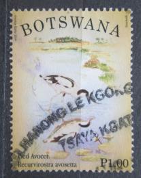 Poštová známka Botswana 2014 Tenkozobec opaèný Mi# 977