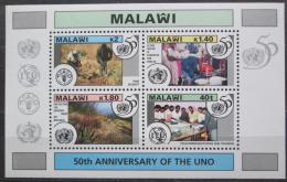 Potov znmky Malawi 1995 OSN, 50. vroie Mi# Block 79 - zvi obrzok