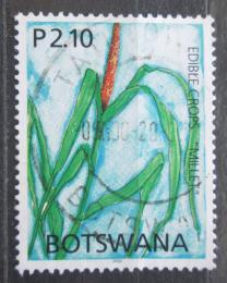 Poštová známka Botswana 2005 Bér italský Mi# 814