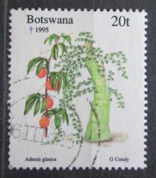 Poštová známka Botswana 1995 Vianoce, adénie Mi# 590
