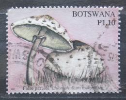 Poštová známka Botswana 2007 Huby, Chlorophyllum molybdites Mi# 847