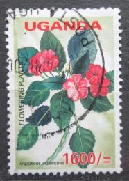 Poštová známka Uganda 2005 Netýkavka Wallerova Mi# 2623