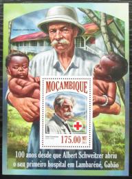 Poštová známka Mozambik 2013 Albert Schweitzer Mi# Block 845 Kat 10€