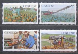 Poštové známky Ciskei, JAR 1982 Pìstování a sklizeò ananasu Mi# 26-29