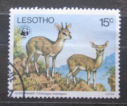 Poštová známka Lesotho 1977 Skálolez skákavý, WWF Mi# 231 Kat 10€