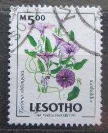 Poštová známka Lesotho 1998 Turbina oblongata Mi# 1438